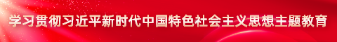 學習貫徹習近平新時代中國特色社會主義思想主題教育